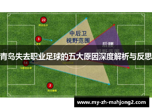青岛失去职业足球的五大原因深度解析与反思