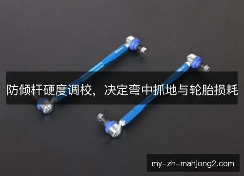 防倾杆硬度调校,决定弯中抓地与轮胎损耗 防倾杆硬度调校,决定弯中抓地与轮胎损耗